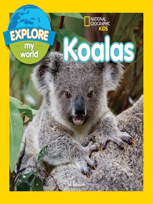 cover image of Explore My World Koalas
